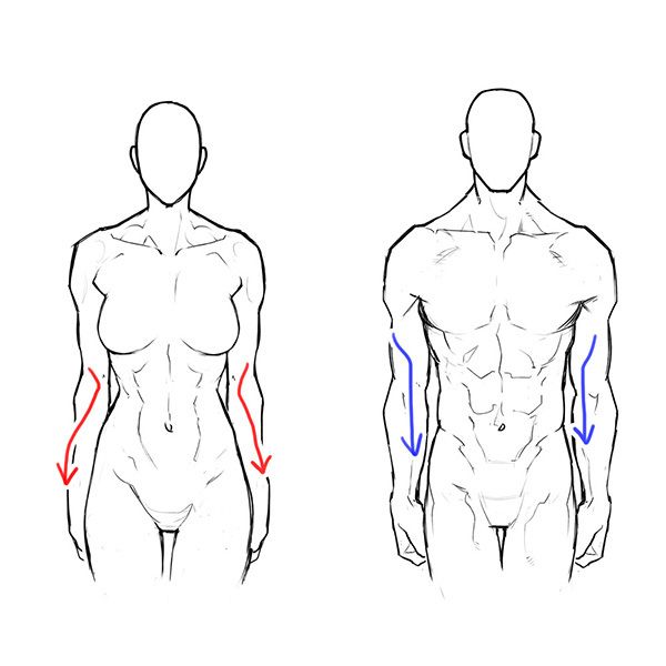 600x600 In Kissing - Muscular Body Drawing