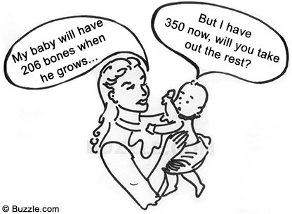 416x304 muscular system drawing - Muscular System Drawing