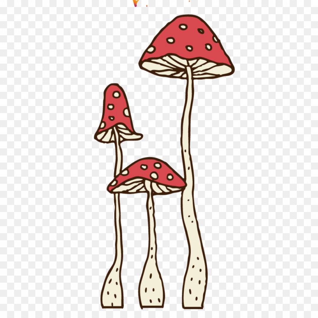 Mushroom Cartoon Drawing at PaintingValley.com | Explore ...