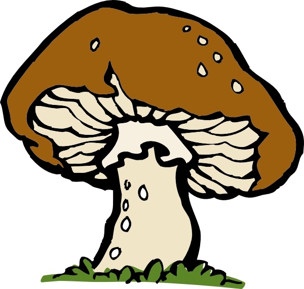 600x570 big mushroom clip art free vector in open office drawing - Mushroom Cartoon Drawing
