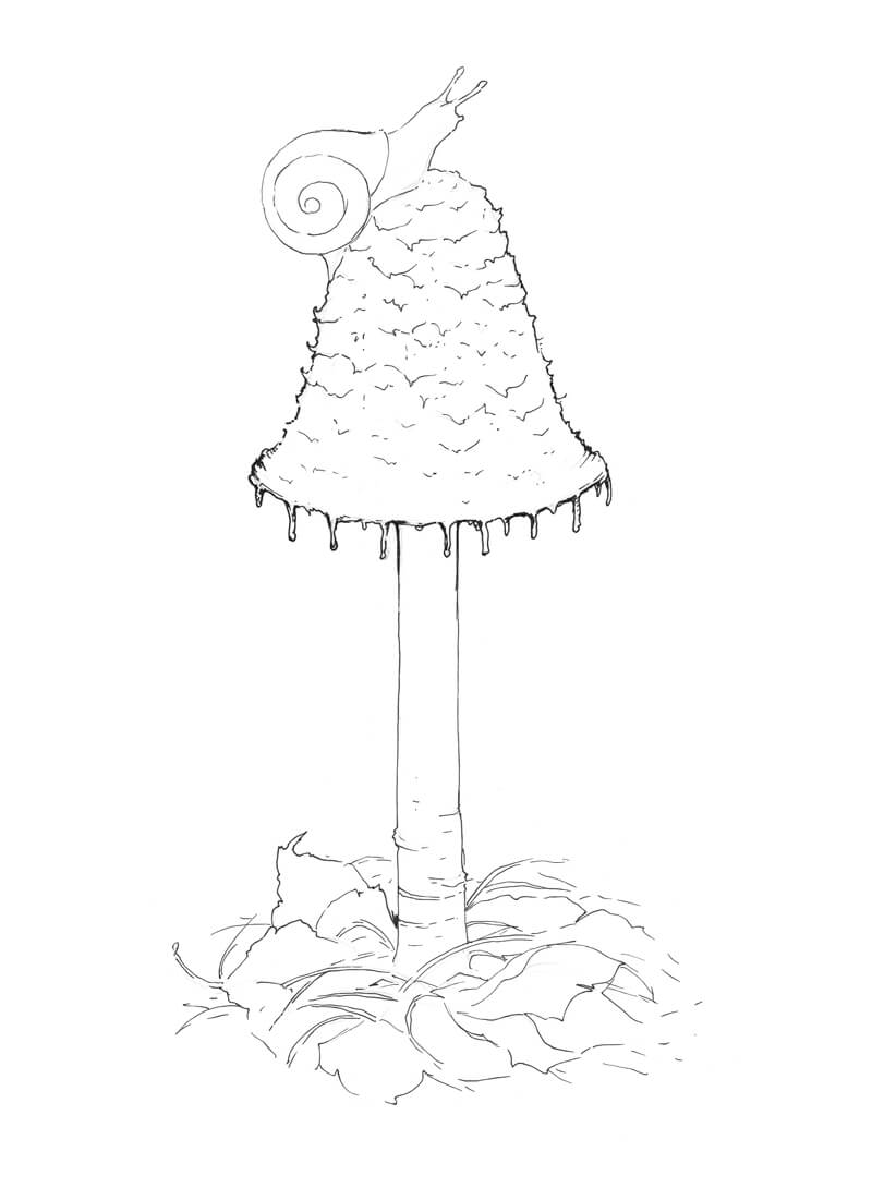 800x1101 How To Draw A Mushroom - Mushroom Drawing
