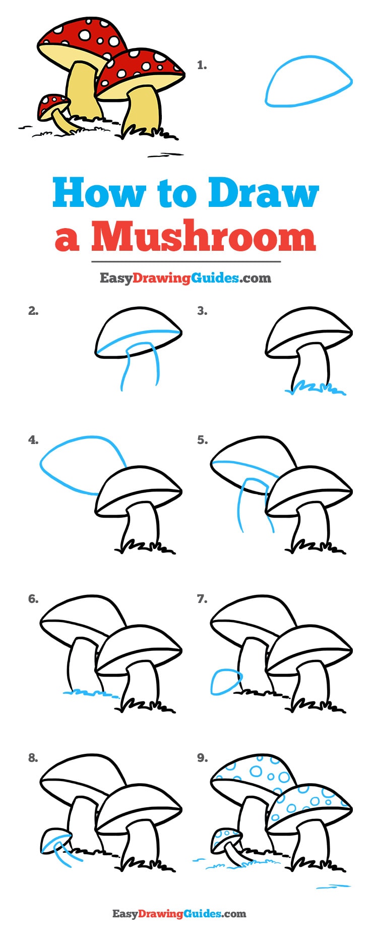 736x1853 How To Draw A Mushroom - Mushroom Drawing