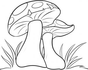 302x240 how to draw how to draw mushrooms - Mushroom Drawing