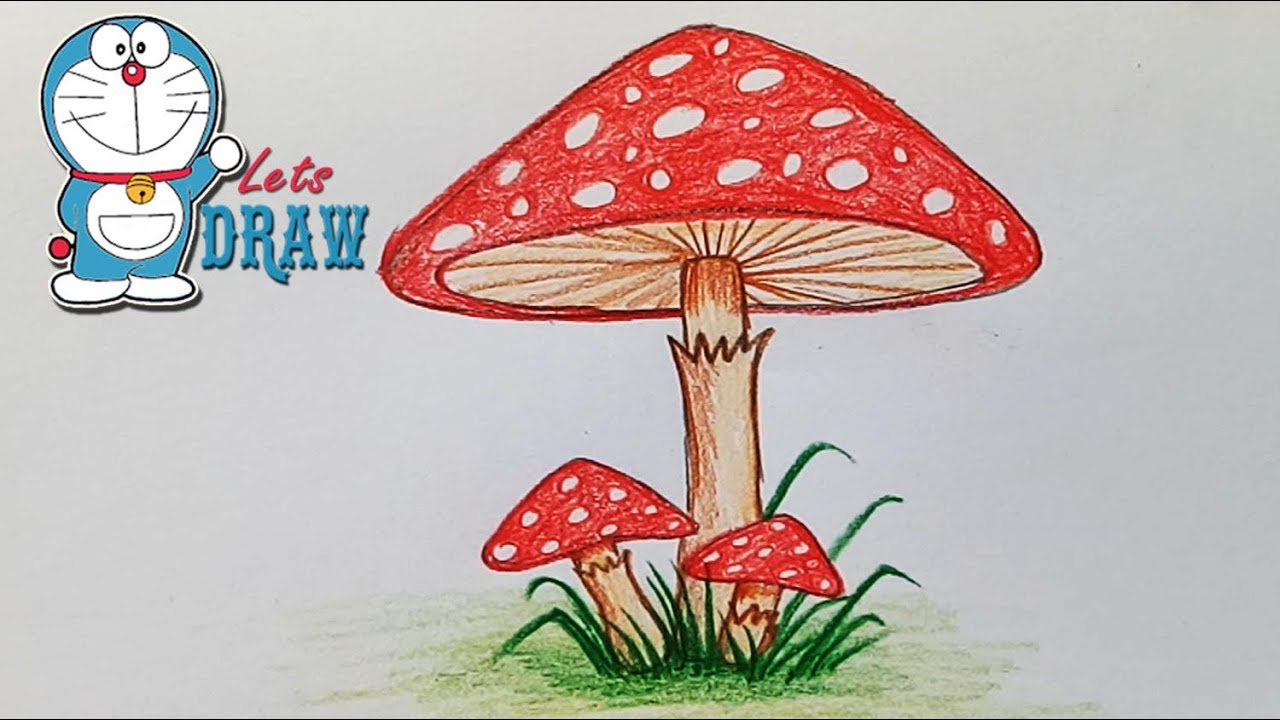 1280x720 How To Draw Mushroom Step - Mushroom Drawing