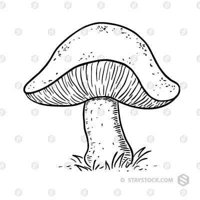 400x400 Mushroom Sketch Staystock - Mushroom Drawing