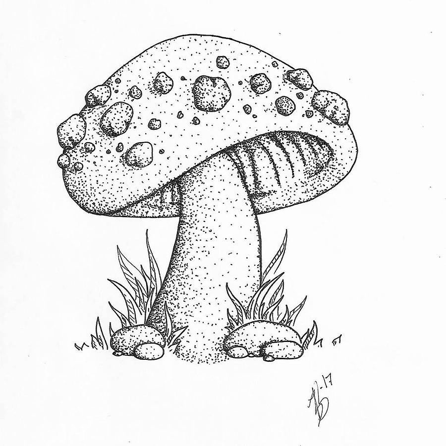 900x900 Pleasant Mushroom Drawing - Mushroom Drawing