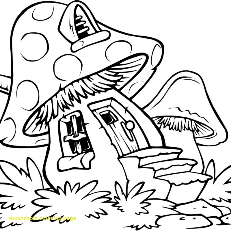 Mushroom House Drawing at Explore collection of