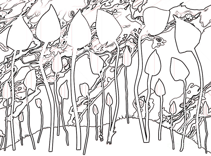 900x663 magic mushrooms abstract line drawing background digital art - Mushroom Line Drawing