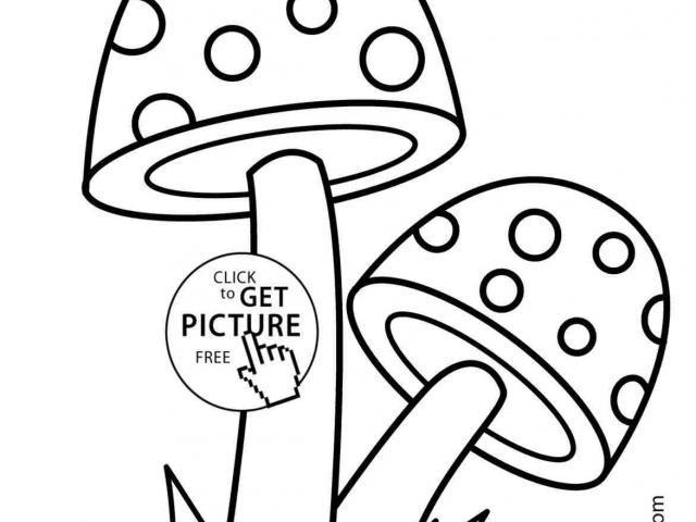 640x480 Mushroom Clipart Line Drawing - Mushroom Line Drawing
