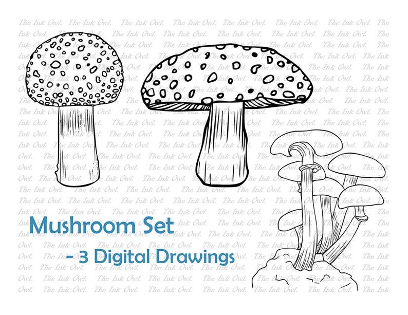 Mushroom Line Drawing at PaintingValley.com | Explore collection of ...