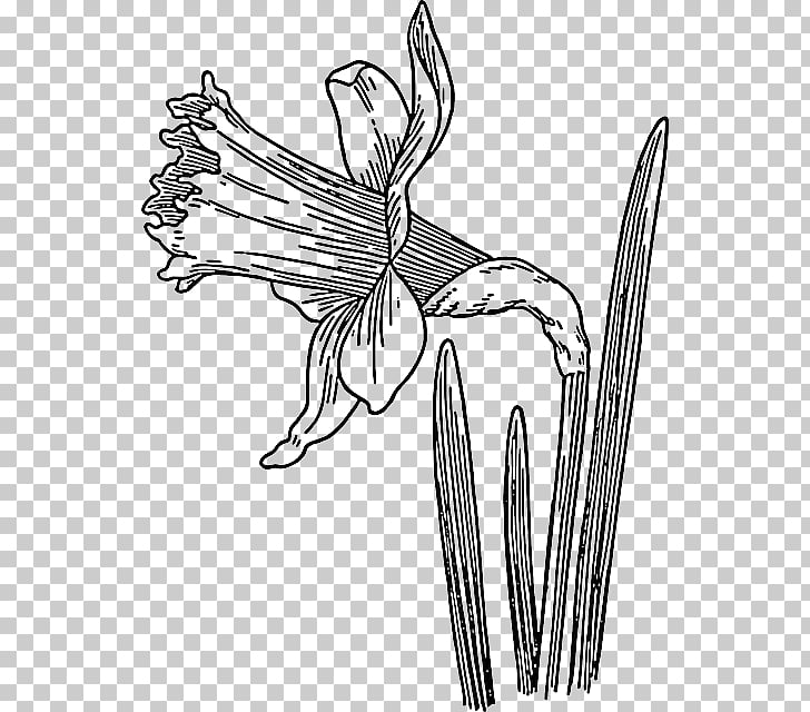 728x640 drawing graphics open line art, fairy tale mushroom png clipart - Mushroom Line Drawing