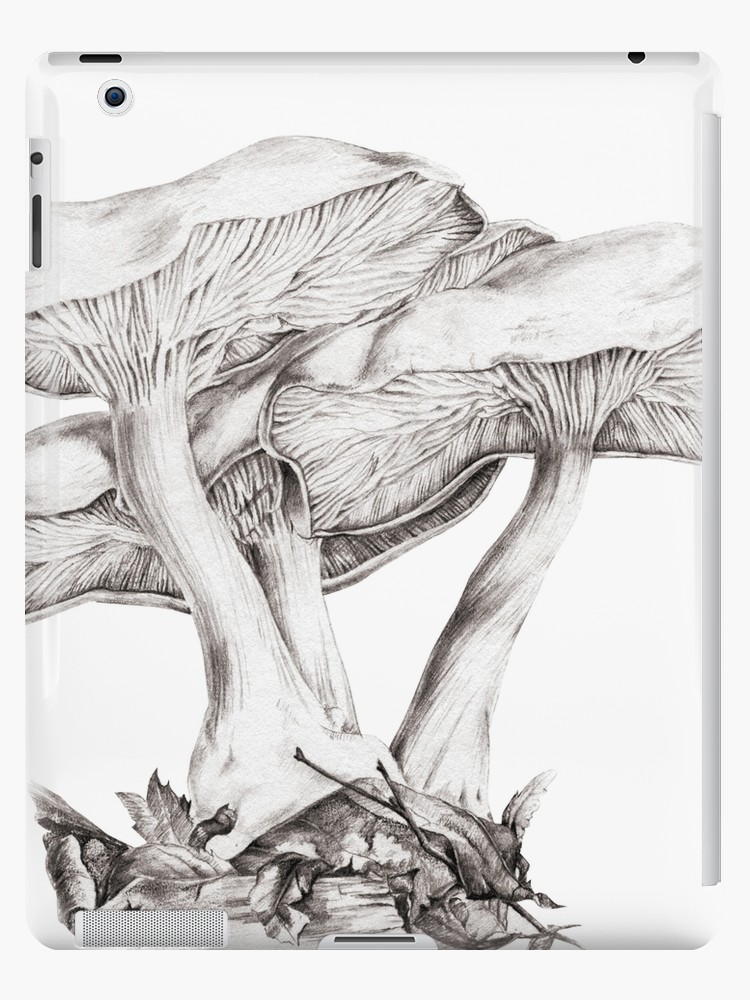 750x1000 fungi mushroom study mono pencil drawing ipad cases skins - Mushroom Pencil Drawing