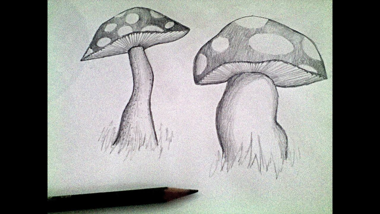 1280x720 Mushroom Pencil Drawing Tutorial - Mushroom Pencil Drawing