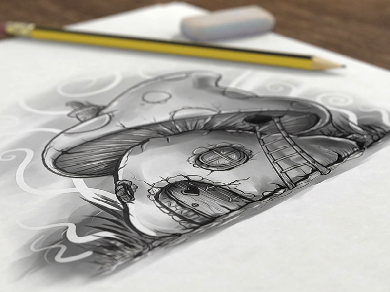 800x600 Mushroom - Mushroom Pencil Drawing