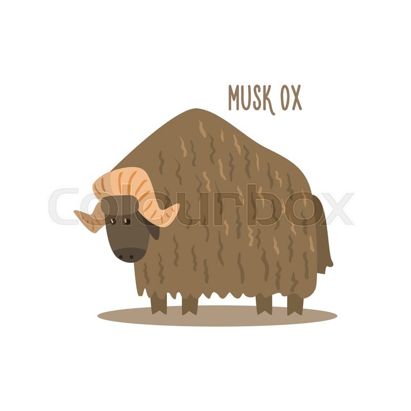 800x800 Musk Ox Drawing For Arctic Animals Stock Vector Colourbox - Musk Ox Drawing