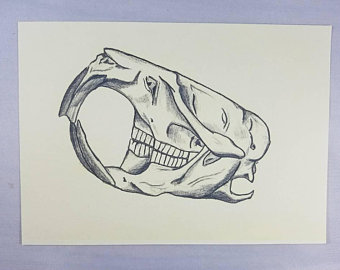 340x270 Muskrat Drawing Etsy - Muskrat Drawing