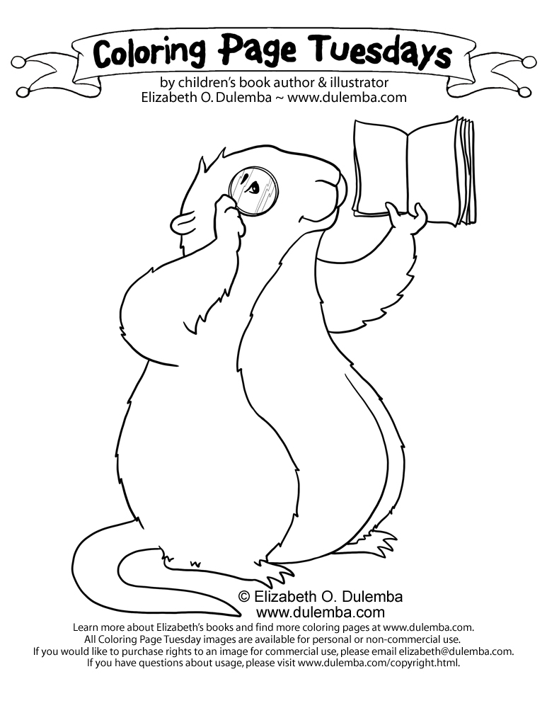 773x1000 Dulemba Coloring - Muskrat Drawing