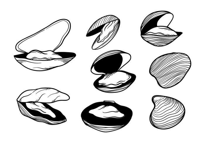 700x490 hand drawn mussel vector - Mussel Drawing