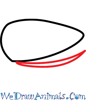 300x350 how to draw a mussel - Mussel Drawing