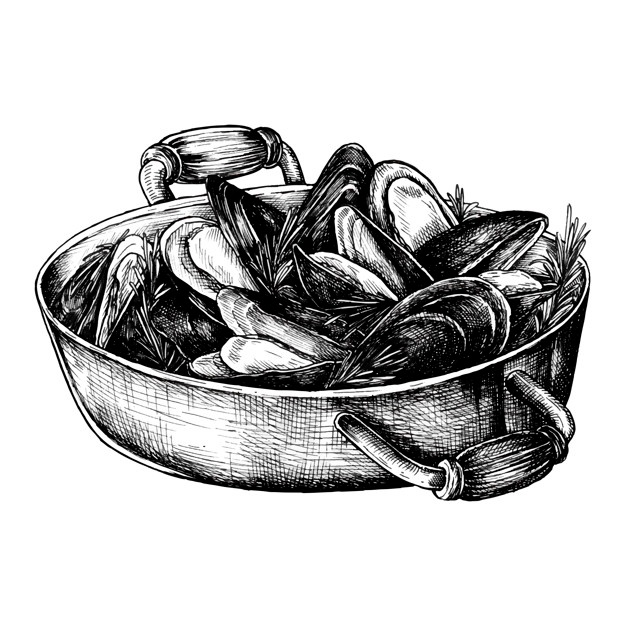 626x626 mussel vectors, photos and free download - Mussel Drawing