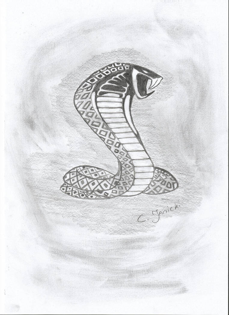 762x1049 Ford Mustang Cobra Emblem - Mustang Emblem Drawing