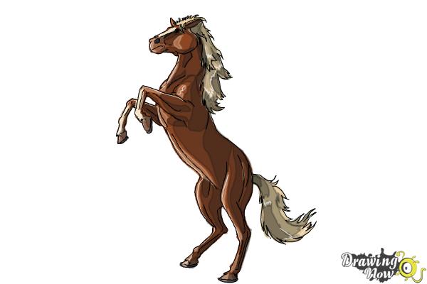 600x400 How To Draw A Horse Body - Mustang Horse Drawing