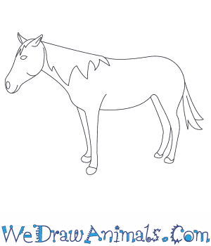300x350 how to draw a mustang horse - Mustang Horse Drawing