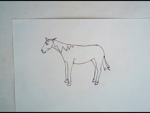 480x360 how to draw a mustang horse - Mustang Horse Drawing
