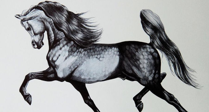 Mustang Horse Drawing at PaintingValley.com | Explore collection of