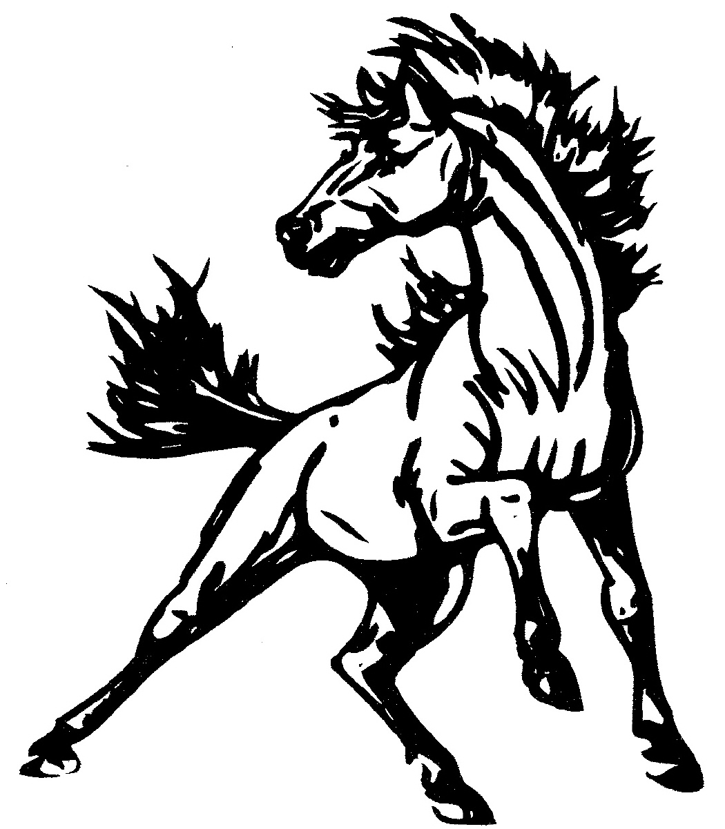 Mustang Horse Drawing at Explore collection of
