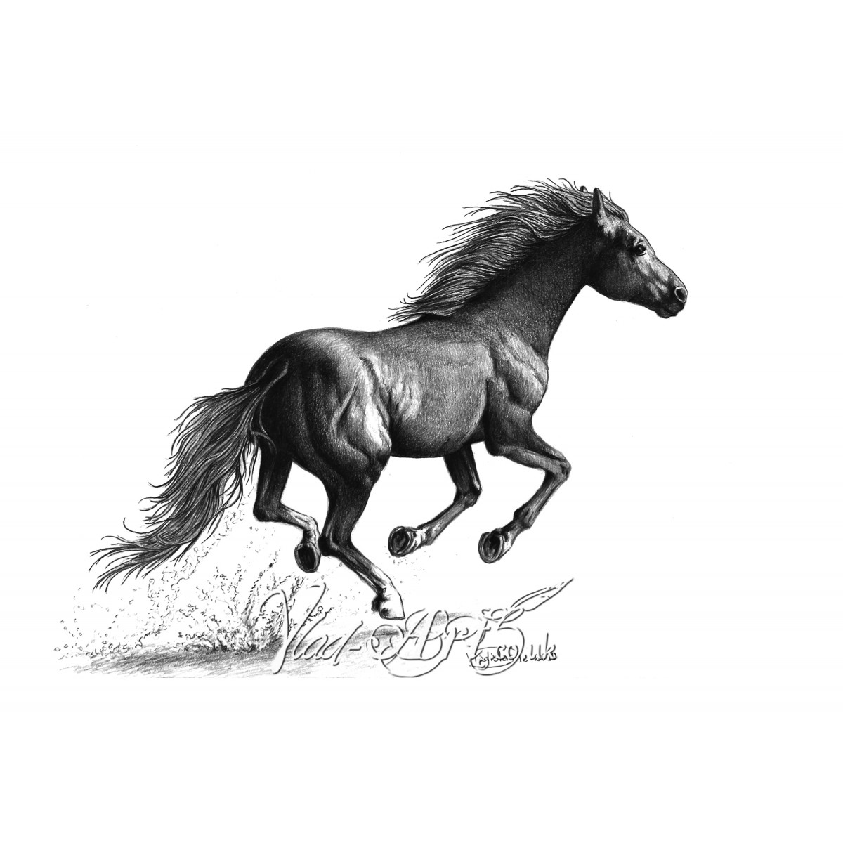 Free Download How To Draw A Mustang Horse Running - hd wallpaper
