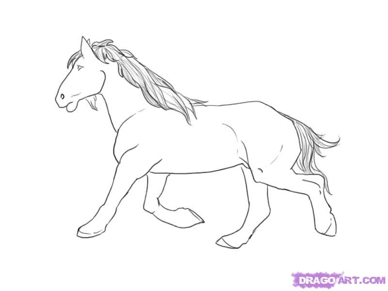 800x600 step how to draw a mustang horse - Mustang Horse Drawing