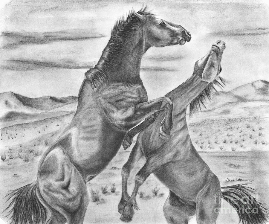 900x749 The Wild West Mustangs Drawing - Mustang Horse Drawing