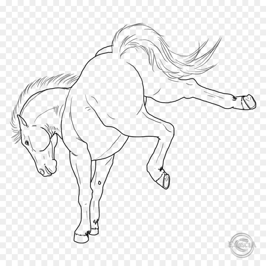 How To Draw A Mustang Horse ~ 30+ Top For Mustang Horse Drawing Easy