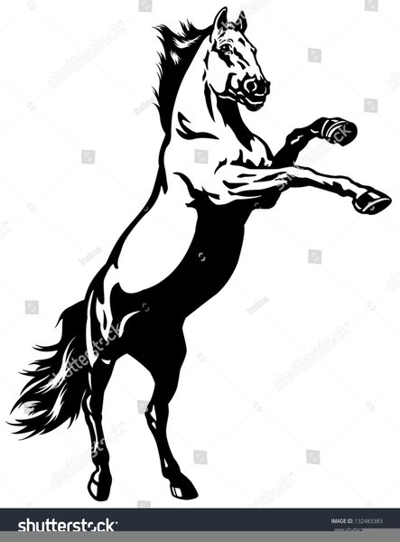 443x600 free clipart of mustang horses free images - Mustang Horse Line Drawing