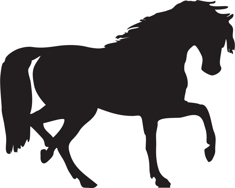 800x640 cliparts for free download mustang clipart horse coloring - Mustang Horse Line Drawing