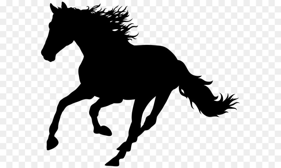 900x540 horse clipart mustang horse frames illustrations hd images - Mustang Horse Line Drawing