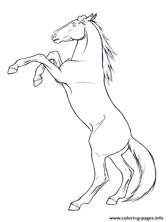 561x739 amazing mustang horse coloring pages for your line drawings - Mustang Horse Line Drawing