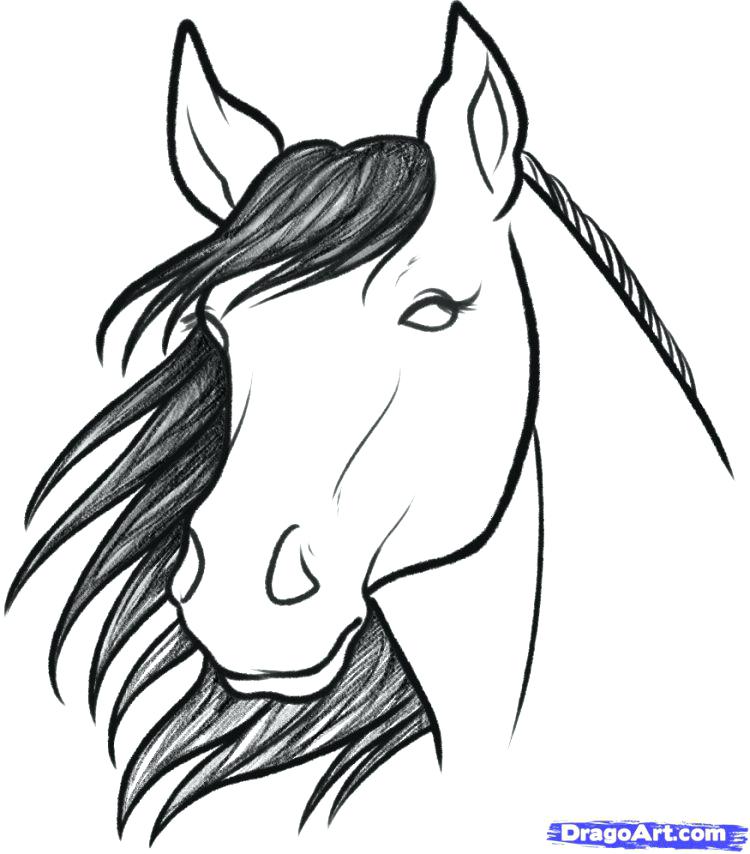 750x854 how to draw a mustang also medium size of to draw a seahorse step - Mustang Logo Drawing