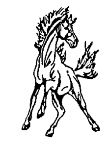 220x288 mascot drawing mustang transparent png clipart free download - Mustang Logo Drawing