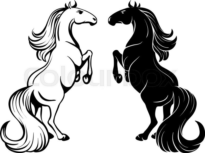 800x595 Isolated Drawing Of A Rearing Horse - Mustang Outline Drawing
