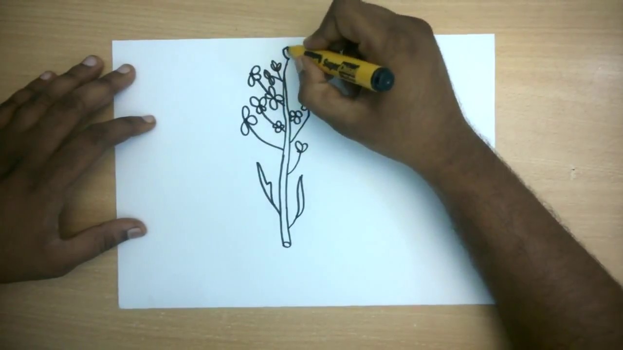 1280x720 How To Draw A Mustard Easy Step - Mustard Drawing
