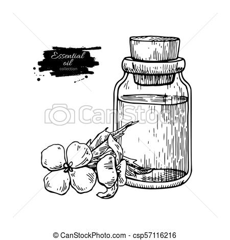 450x470 mustard essential oil bottle and flower hand drawn vector - Mustard Drawing