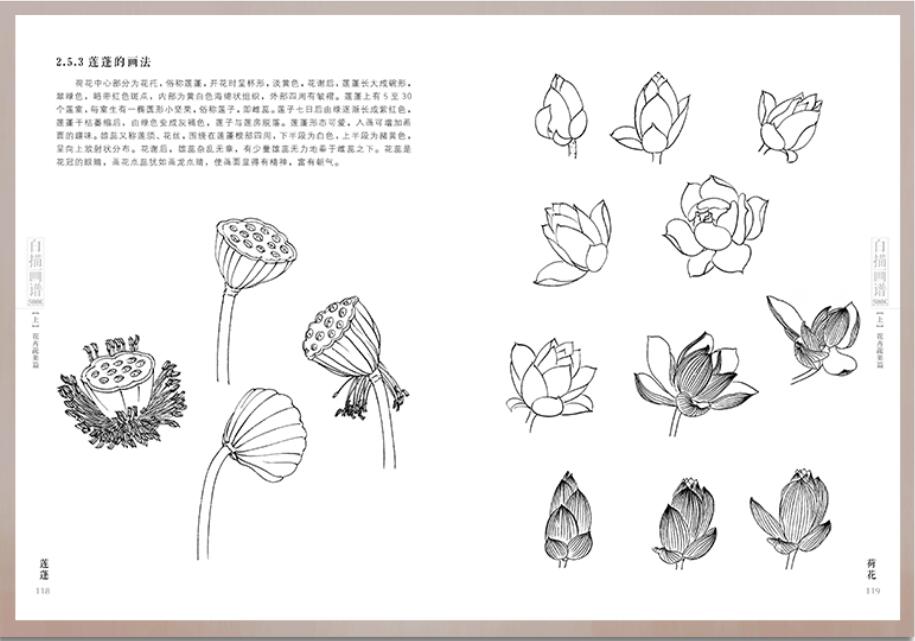 915x641 white drawing case flower birds chinese mustard entry book - Mustard Drawing