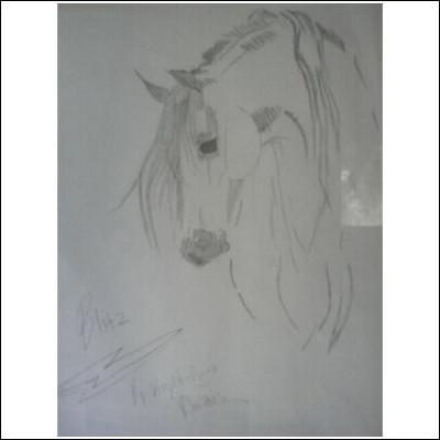 400x400 My Horse Drawing - My Drawing