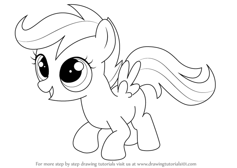 800x569 learn how to draw scootaloo from my little pony friendship is - My Little Pony Drawing