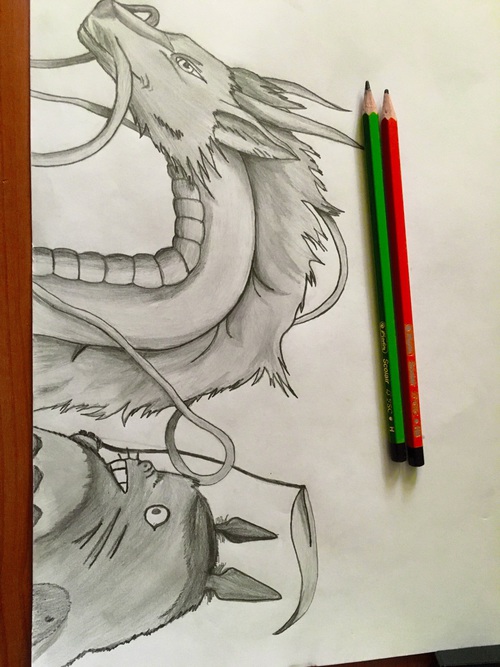 500x667 Totoro From My Neighbor Totoro And Haku From Spirited Away - My Neighbor Totoro Drawing