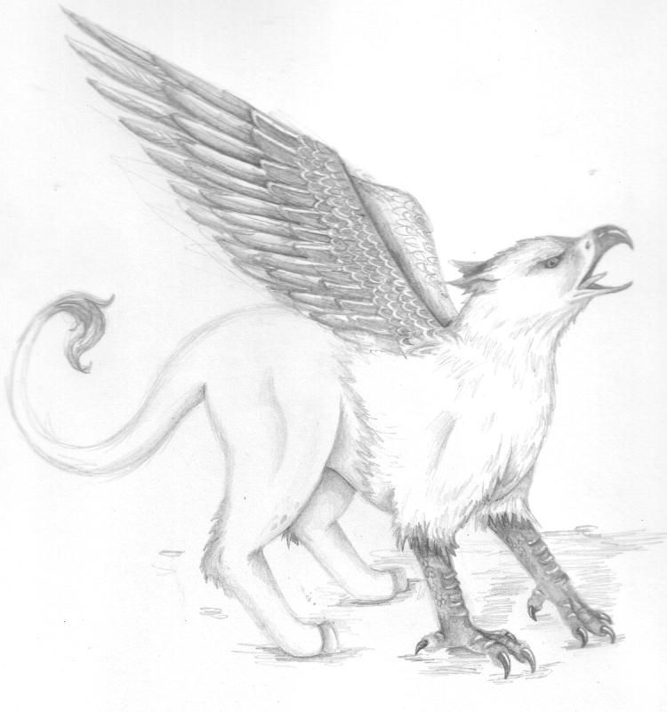 750x800 griffin drawings mythical creatures griffin - Mythical Creature Drawings