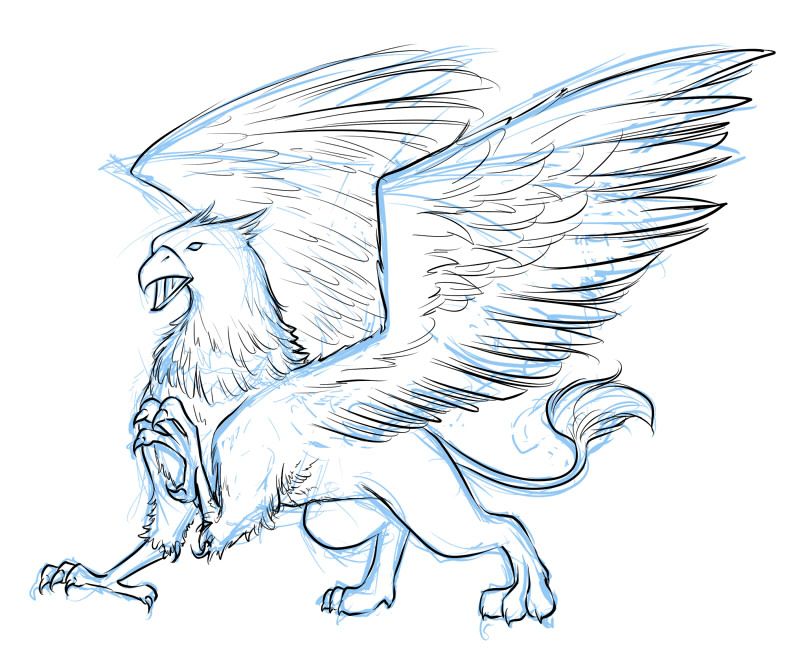 800x665 griffins mythical creatures drawing - Mythical Creature Drawings