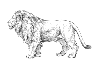 400x277 drawing myths that block your progress - Mythical Drawings